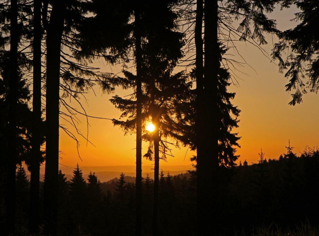 Apartmán Extrablatt Oberhof  Exteriér fotografie